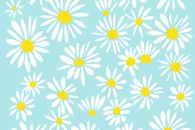 Backround, Blue, Daisy, Wallpapers   Image