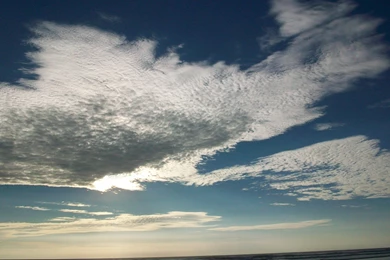 Uplifting, Purpose, Others, Satisfied, Computer, Dedic, Earth ...