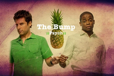 Psych Wallpapers By XSilverwingx On DeviantArt