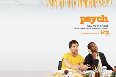 Psych   Psych Wallpapers (31530073)   Fanpop