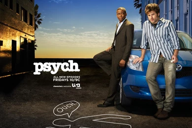 Pshych   Psych Wallpapers (18765931)   Fanpop