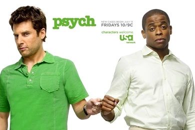 Psych 2007   Psych Wallpapers (500880)   Fanpop