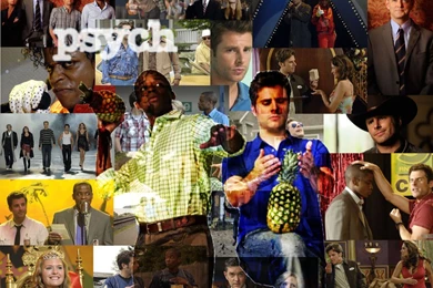 Psych Wallpapers By RandomPandemonium On DeviantArt