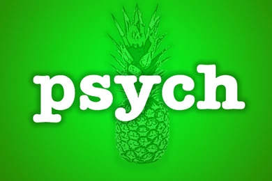Psych By Powerfoxslayer On DeviantArt