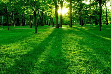 Wallpaper: Park Wallpapers