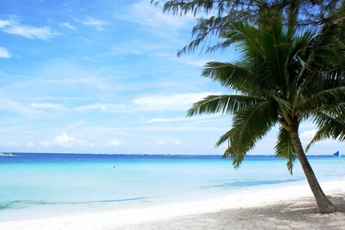 Free Desktop Wallpapers