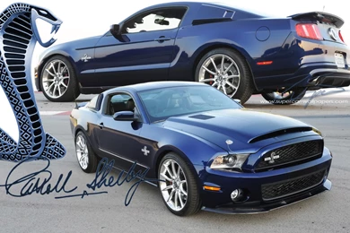 2015 Ford Mustang Shelby Gt500 Super Snake Wallpapers