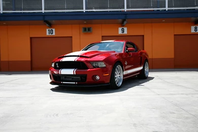 Shelby American GT500 Super Snake 2013 Widescreen Exotic Car ...