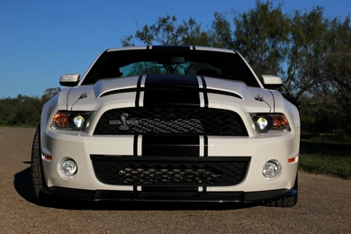 2010 Shelby Mustang GT500 Super Snake Coupe Cars White Wallpapers ...