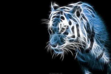Tiger 3D HD Widescreen Wallpapers 6501   Amazing Wallpaperz