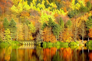 Snoopy Winter Wallpapers – 2560×1920 High Definition Wallpapers ...