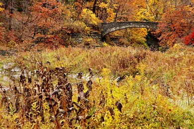 Free Download Wallpapers HD : Fall Desktop Backgrounds Widescreen