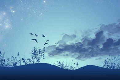 Night, Windows, Background, Landscape, Wallpapers (