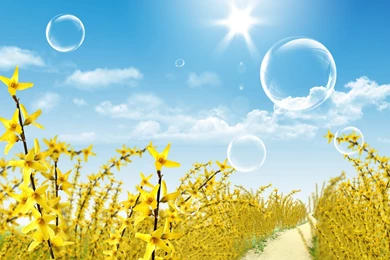 Desktop Wallpapers · Gallery · Windows 7 · Footpath   Windows 7 ...