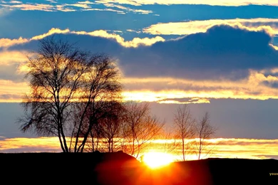 YouWall   Sunrise Wallpapers   Wallpaper,wallpapers,free Wallpapers ...