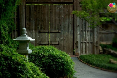 Zen Garden, Korea, Scenery, 1920x1200 HD Wallpapers And FREE Stock ...