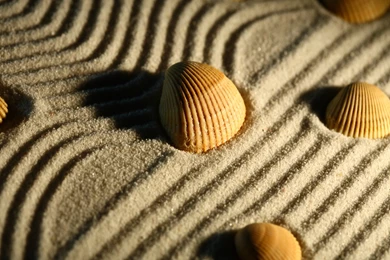 Zen Garden Wallpapers HD   HD Wallpapers