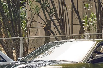 Stancenation Stanceworks Meet Stance Wallpapers