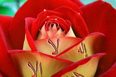 Name Wallpapers For Desktop   Wallpapers Zone