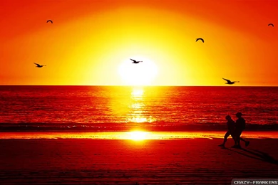 Romantic Beach Wallpapers   Crazy Frankenstein