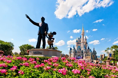 What Disney World Ride Would Suit You Best?