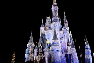 Disney World Castle Wallpapers Night