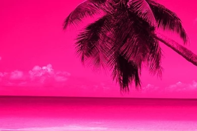 Pink Wallpapers On Pinterest