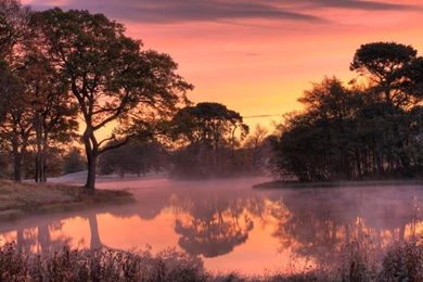 Pink Morning Trees Fog Sky Lake HD Wallpapers Wallpapers   (