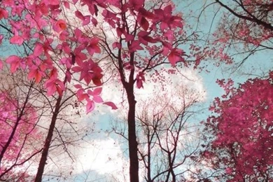 Image Via We Heart It