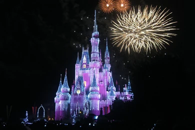 Walt Disney World Vacation