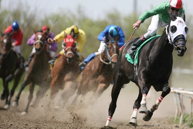 Horse Racing Hd Wallpapers