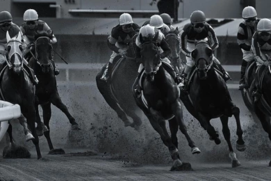 Horse Racing HD Wallpaper.jpg