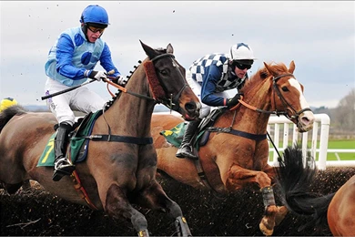 Horse Racings Resultshorse Racing Wallpapers Horse Race Horse ...