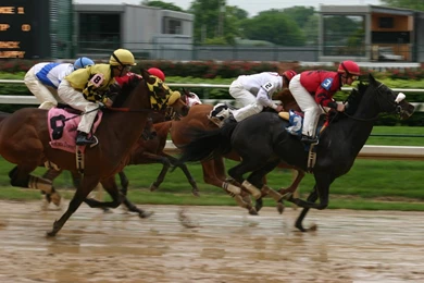 Saratoga Horse Racinghorse Racing Wallpapers Horse Racing Live ...