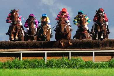 Horse Racing Schedule