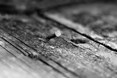Download 1920x1080 Old Nail In Wood Wallpapers