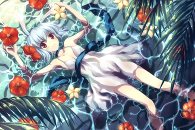 Have Some Bunny Wallpaper. Image Anime Fans Of ModDB Mod DB