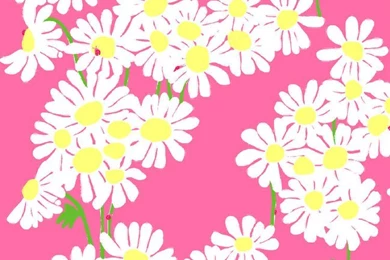 Hello Kirsti: Lilly Pulitzer Wallpapers