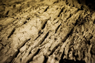 Download 1366x768 Old Wood Close Up Wallpapers