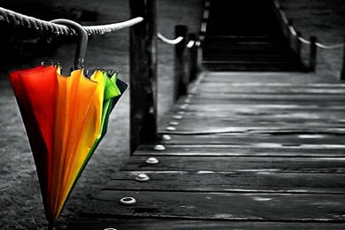 The Word This Week – YOUR SEED WILL PRODUCE AFTER ITS OWN KIND ...