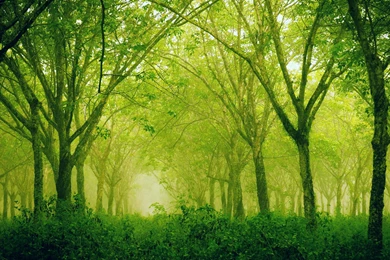 Retina Wallpapers HD Desktop