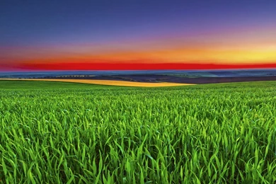 Download Droid Razr M Stock Wallpapers   Stock Wallpapers