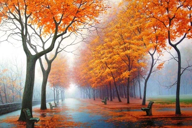 Free Download_most downloaded wallpapers desktop