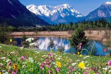 Free Download Wallpapers Of Nature For Desktop