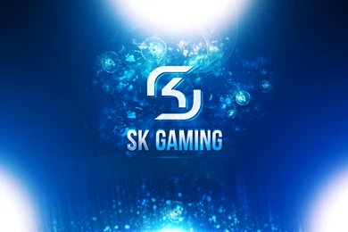 SK Gaming Wallpapers Logo   League Of Legends By Aynoe On DeviantArt