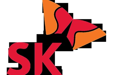 SK Group Logo
