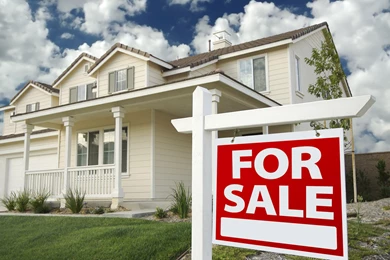 Insurance, Real Estate, & Property Management