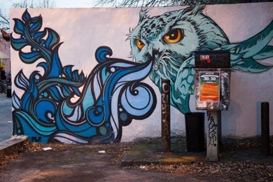 Owl Bird Graffiti HD Wallpaper,digital/artwork HD Wallpaper,bird ...