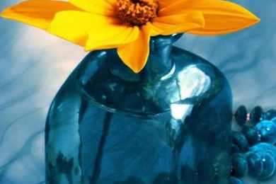 Flower Samsung Galaxy Note 3 Wallpapers 311, Samsung Galaxy Note 3 ...