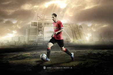 Manchester United Van Persie 2014 Rvp Mufc Football Wallpapers